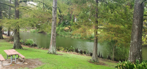 A serene view of a river surrounded by trees, with a picnic table in the foreground on a grassy area.