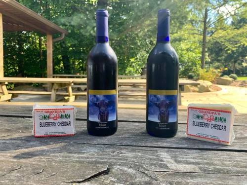 Two bottles of blueberry wine and two packages of blueberry cheddar cheese on a wooden table in a park setting.