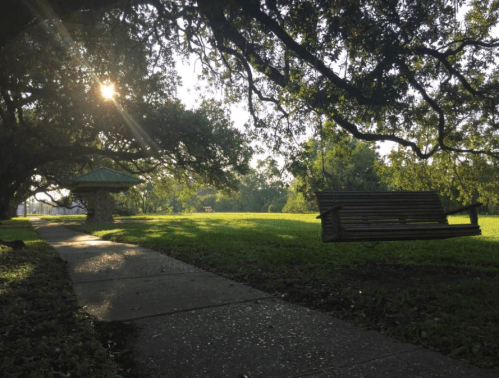 A peaceful park scene with a swing, pathway, and sunlight filtering through trees.