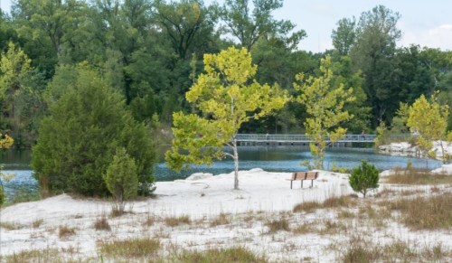 A serene landscape featuring a sandy area, a bench, and trees by a calm body of water surrounded by greenery.