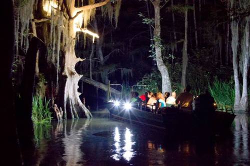 A boat with people navigates a dark, serene swamp illuminated by soft lights, surrounded by trees and water reflections.