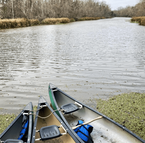 Two canoes are moored at the edge of a calm, green-tinted river surrounded by trees and tall grasses.