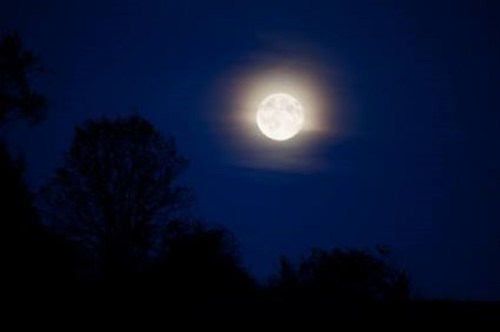 A bright full moon shines in a dark blue night sky, partially surrounded by wispy clouds and silhouetted trees.