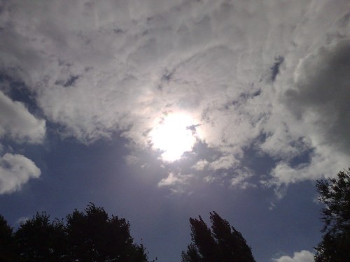 Bright sun partially obscured by clouds against a blue sky, with silhouettes of trees in the foreground.