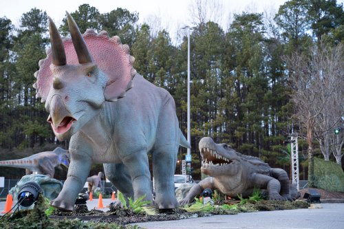 A lifelike Triceratops and a crocodile sculpture in a forested outdoor setting, surrounded by greenery and cones.