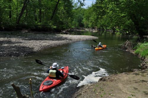 Two kayakers navigate a winding river surrounded by lush green trees on a sunny day.