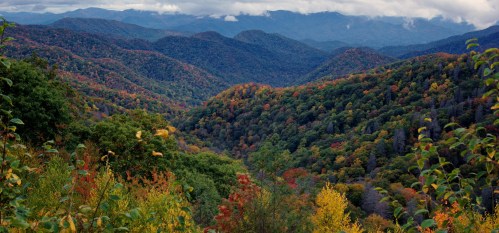A panoramic view of colorful autumn foliage covering rolling mountains under a cloudy sky.