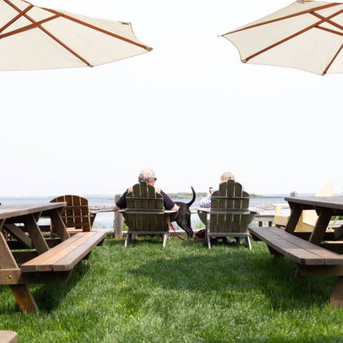 Two people sit on lawn chairs under umbrellas, with a dog nearby, overlooking a grassy area by the water.