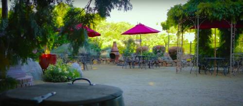 A serene outdoor garden with tables, chairs, and red umbrellas, surrounded by greenery and decorative plants.