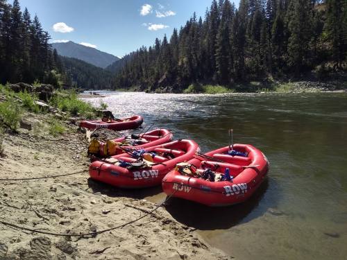Four red rafts are moored on a sandy riverbank, surrounded by trees and mountains under a clear blue sky.