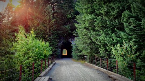 A dirt path leads to a dark tunnel framed by lush green trees, with sunlight glowing at the tunnel's exit.