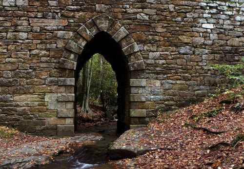 A stone archway in a forest, with a stream flowing beneath and autumn leaves scattered on the ground.