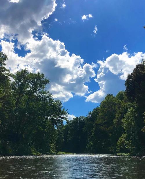 A serene river scene with lush green trees and fluffy clouds under a bright blue sky.
