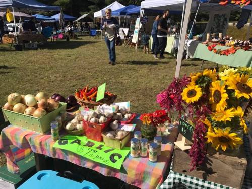 A vibrant farmers market scene with fresh produce, flowers, and colorful tents in a grassy area.