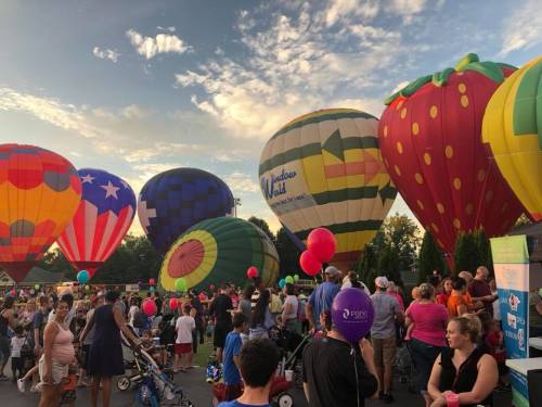 A vibrant scene of colorful hot air balloons at a festival, with a crowd of people enjoying the event under a blue sky.