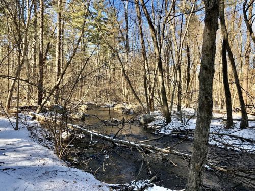 A serene winter scene of a stream surrounded by bare trees and scattered snow, with rocks and fallen branches visible.
