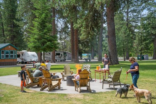 A group gathers around a fire pit in a park, with RVs in the background and dogs playing nearby.