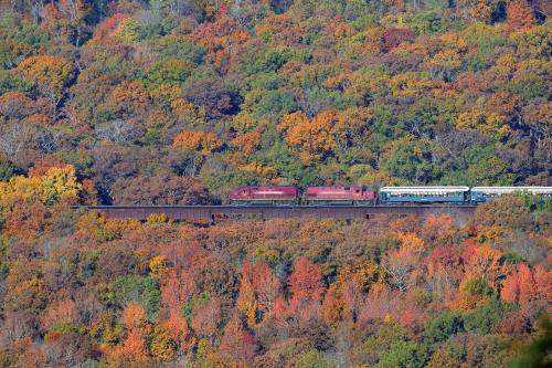 A train crosses a bridge surrounded by vibrant autumn foliage in shades of orange, red, and yellow.