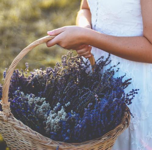 A person in a white dress holds a woven basket filled with vibrant lavender and dried flowers.