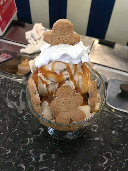 A dessert bowl filled with ice cream, topped with whipped cream, caramel, and gingerbread cookies.