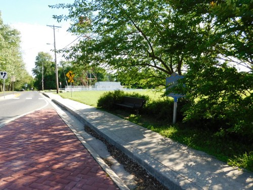 A quiet street scene featuring a sidewalk, a bench under a tree, and a grassy area in the background.