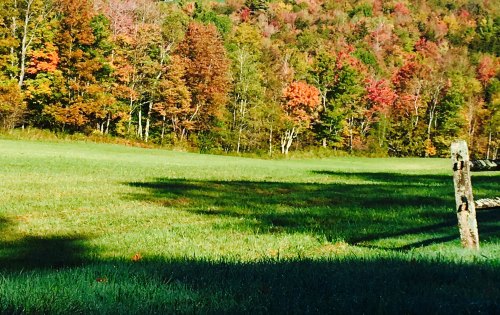A vibrant landscape featuring a green field and trees with autumn foliage in shades of red, orange, and yellow.