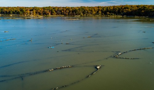 Aerial view of a calm lake with fallen trees and a small boat, surrounded by autumn-colored trees.