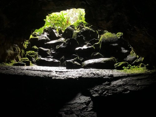A view from inside a cave, showing a bright opening with greenery and moss-covered rocks.