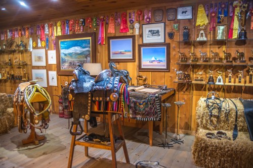 A rustic room filled with trophies, ribbons, and equestrian gear displayed on wooden walls and straw bales.