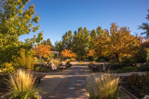 A serene garden path lined with benches, surrounded by trees with autumn foliage under a clear blue sky.