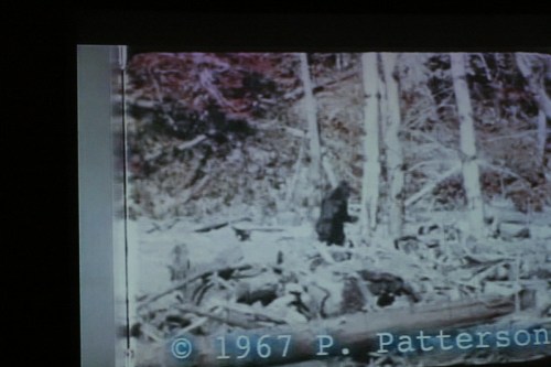 A blurry image of a figure resembling a large ape standing among trees and logs, dated 1967.