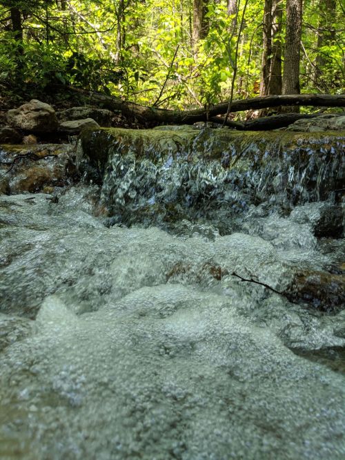 A close-up view of a bubbling stream flowing over rocks, surrounded by lush green trees in a forest.