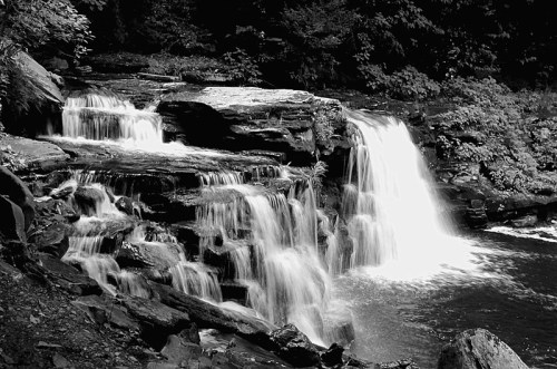 A serene black and white image of a cascading waterfall surrounded by lush greenery and rocky terrain.