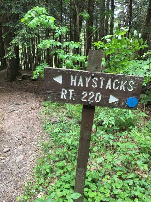 Wooden signpost indicating "Haystacks" and "RT. 220" along a forested trail surrounded by greenery.