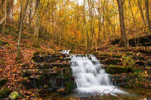 A serene waterfall cascades over mossy rocks, surrounded by vibrant autumn foliage in a tranquil forest setting.