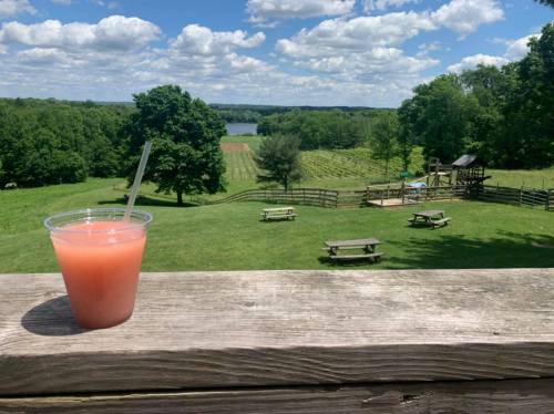 A refreshing drink sits on a wooden railing, overlooking a lush green landscape with trees and a lake in the distance.