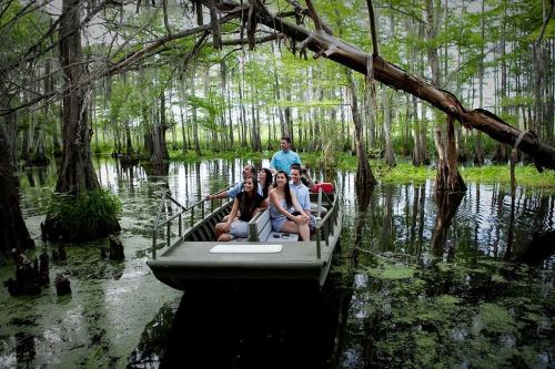 A group of people on a boat in a lush, green swamp surrounded by trees and still water.