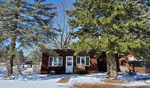 A cozy log cabin surrounded by snow-covered trees on a sunny winter day.