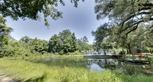 A serene pond surrounded by lush greenery, with a houseboat and a wooden dock in the background under a clear sky.