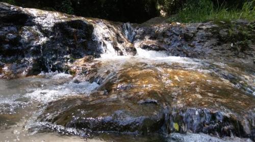 A close-up view of a flowing stream over smooth rocks, surrounded by lush greenery.