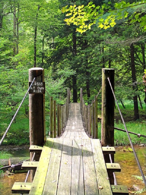 A wooden suspension bridge surrounded by lush greenery, with a warning sign to cross at one's own risk.