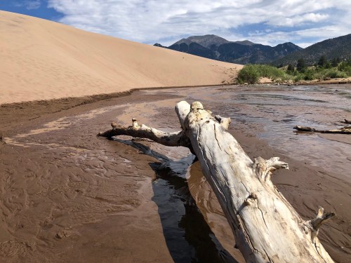 A weathered log rests near a winding stream, with sandy dunes and mountains in the background under a blue sky.