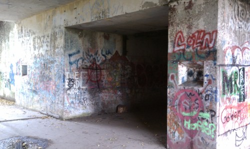 Graffiti-covered walls of an abandoned building with a dark passageway and scattered leaves on the ground.