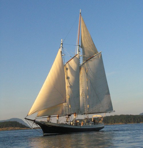 A tall ship with white sails glides through calm waters under a clear blue sky, surrounded by distant hills.