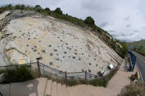 Fossilized dinosaur footprints on a rocky hillside, with informational signs and a pathway in the foreground.