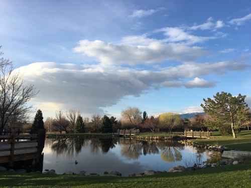 A serene park scene with a pond reflecting clouds and trees under a blue sky, surrounded by green grass and wooden walkways.