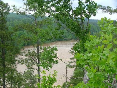 A river flows through a lush green landscape, framed by trees and foliage under a cloudy sky.