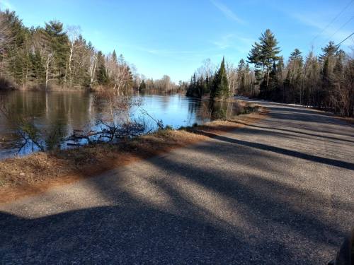 A gravel road beside a flooded area, surrounded by trees under a clear blue sky.