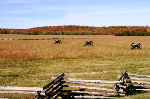 A grassy field with four cannons and a wooden fence, surrounded by trees displaying autumn colors.