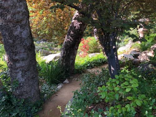 A serene garden path winding between trees, surrounded by lush greenery and colorful foliage.